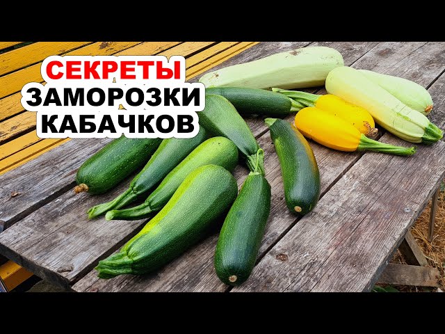 Лучшие способы заморозить кабачки на зиму. Секреты, как правильно заморозить кабачки (научила всех)