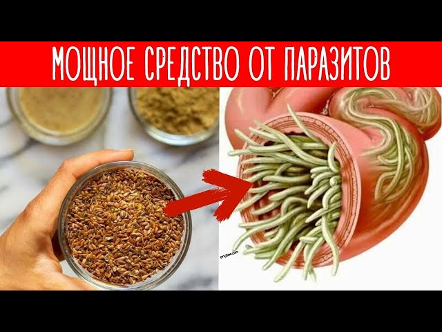 Мощное средство от паразитов и токсинов