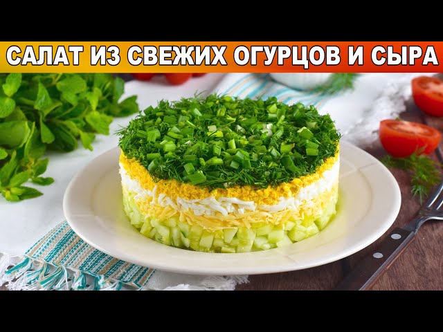 Как приготовить салат из свежих огурцов и сыра? С яйцом и зеленым луком, простой, легкий, быстрый